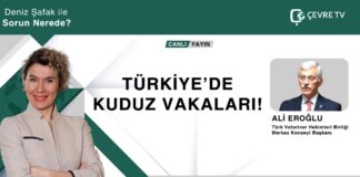 Türkiye’de kuduz vakaları artıyor mu? Hangi şehirlerimiz risk altında? ALİ EROĞLU