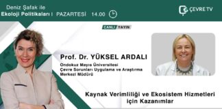 📍COP27 ‘de kaynak verimliliği ve ekosistem hizmetleri nasıl vurgulandı? – PROF.DR. YÜKSEL ARDALI