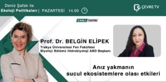 🔎ANIZ VE ANIZ YAKMANIN ZARARLARI / PROF. DR. BELGİN ELİPEK